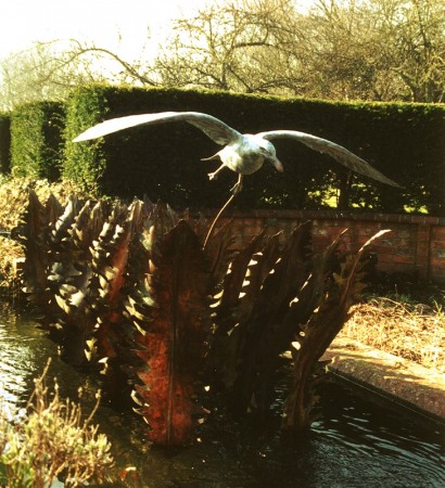 ... a water feature with fern fronds from the Downs       (Click to enlarge)