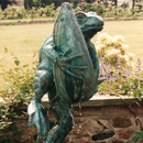 ... frogs have been found �hugging� all kinds of creatures � including fish �  (Click to enlarge)